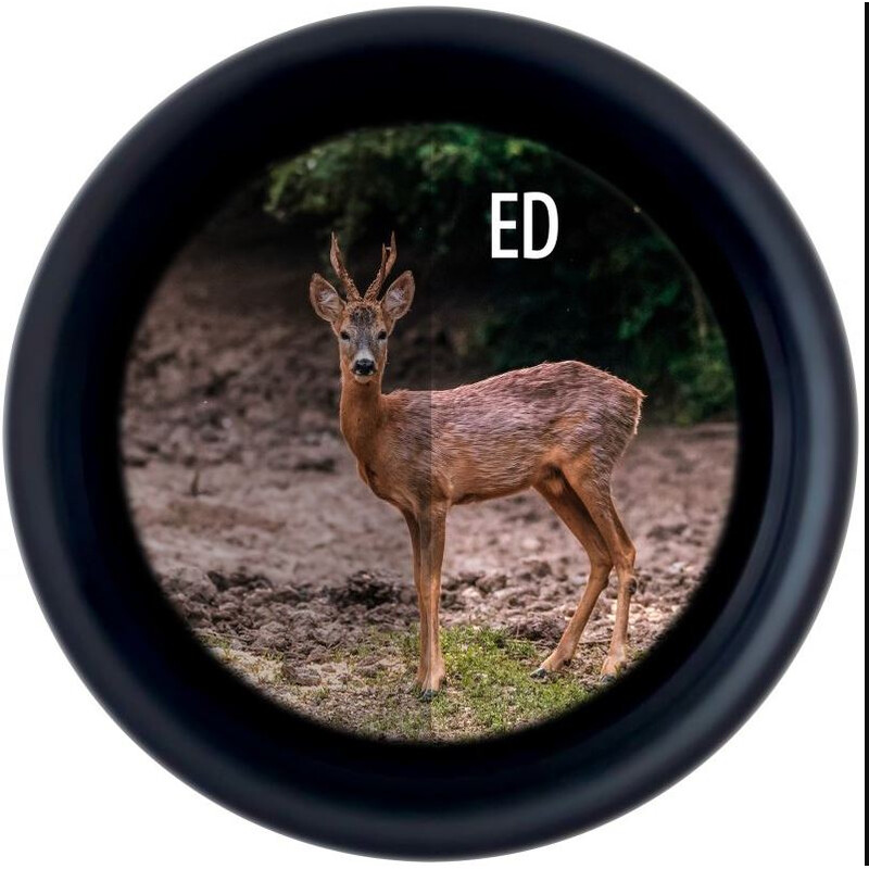 Minox Lornetka X-Tour 8x34