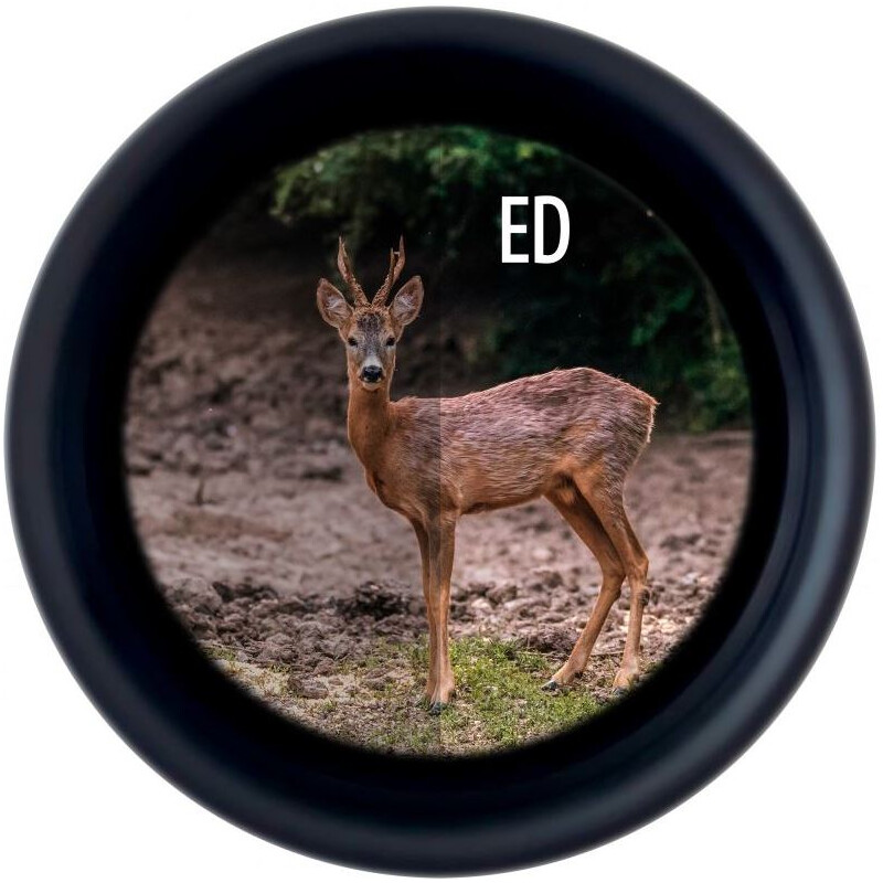 Minox Lornetka X-Tour 10x42