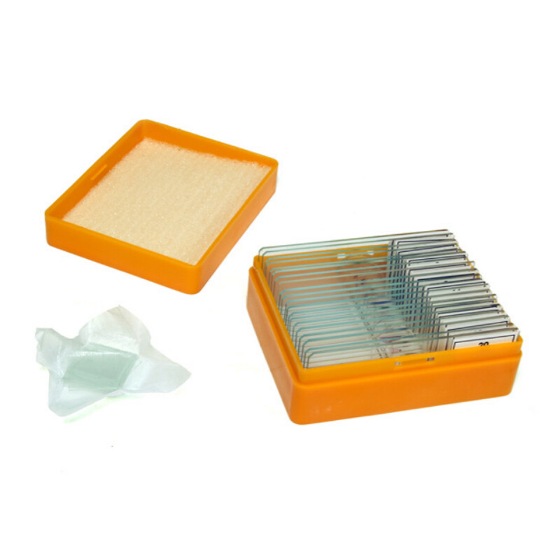 Levenhuk Stałe preparaty N20 NG