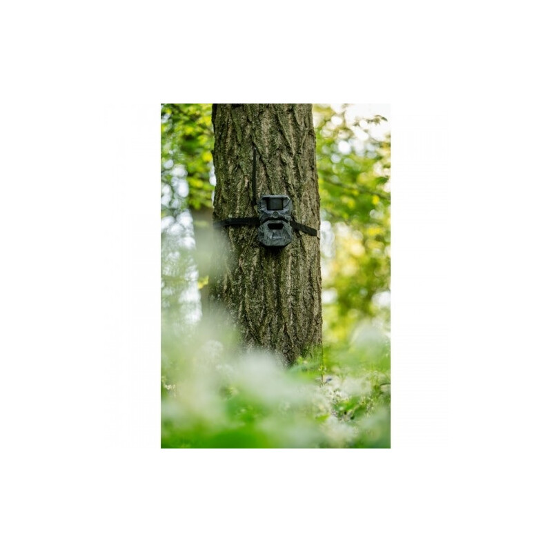 HIKMICRO Kamera do obserwacji dzikich zwierząt T16